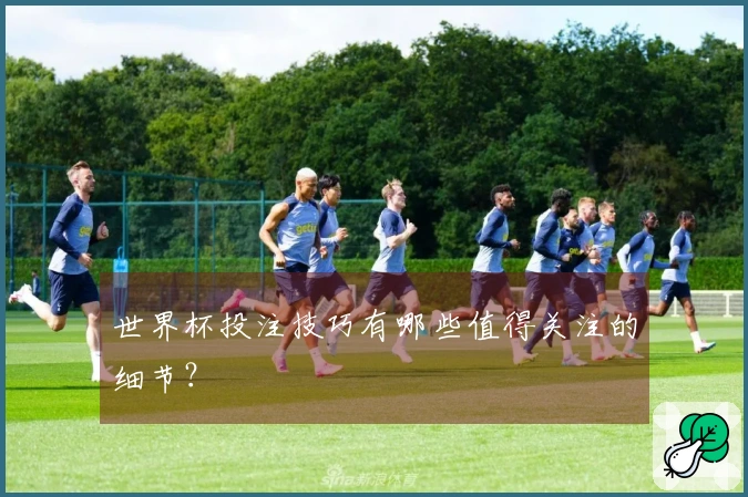世界杯投注技巧有哪些值得关注的细节？