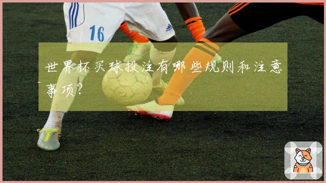 世界杯买球投注有哪些规则和注意事项？