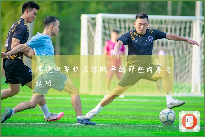 揭晓世界杯买球赔率的那些内幕与技巧