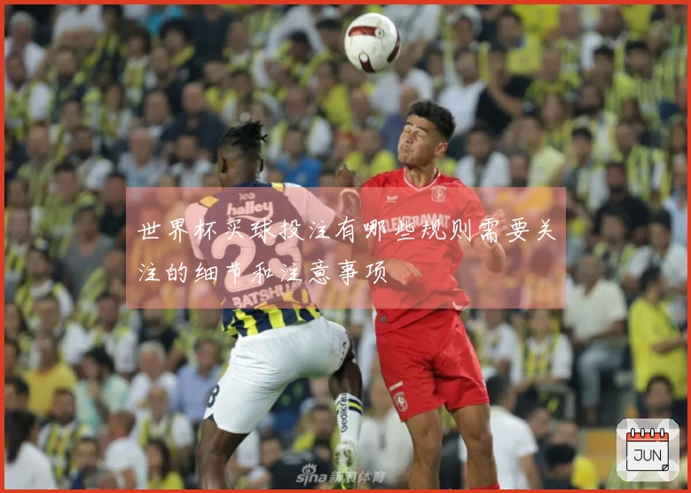 世界杯买球投注有哪些规则需要关注的细节和注意事项