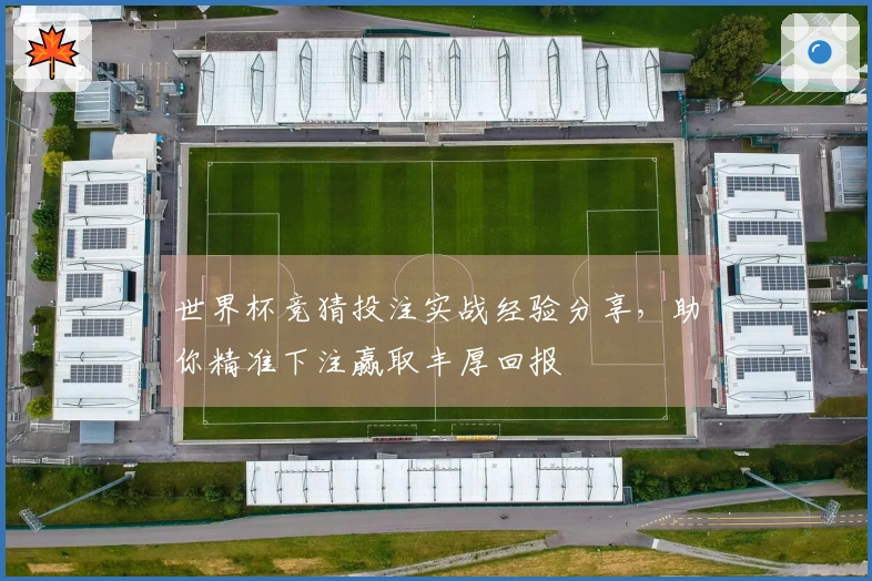 世界杯竞猜投注实战经验分享，助你精准下注赢取丰厚回报