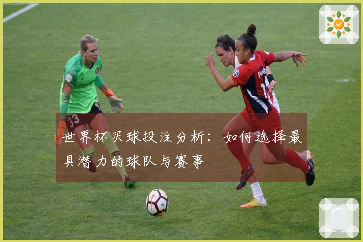 世界杯买球投注分析：如何选择最具潜力的球队与赛事