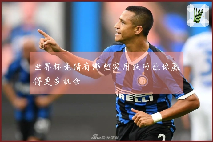 世界杯竞猜有哪些实用技巧让你赢得更多机会