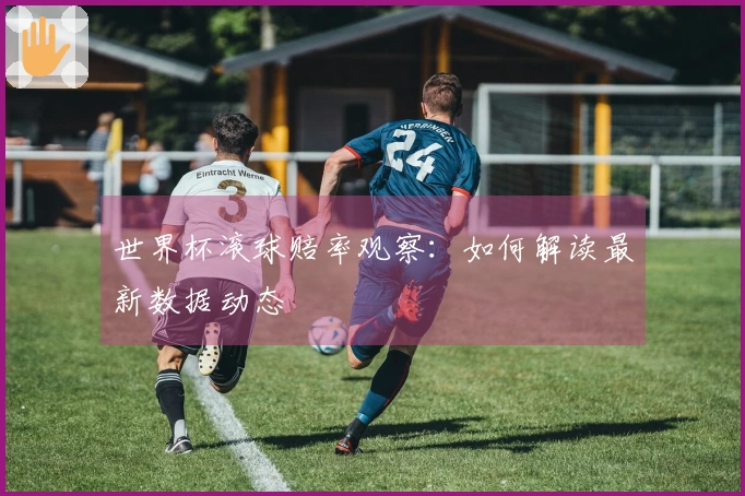 世界杯滚球赔率观察：如何解读最新数据动态