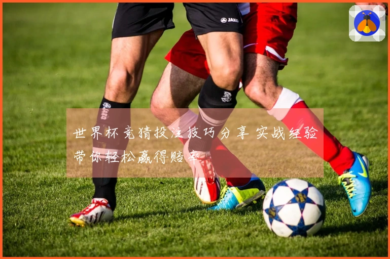 世界杯竞猜投注技巧分享 实战经验带你轻松赢得赔率